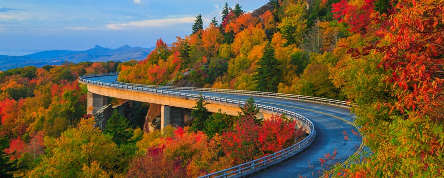 Asheville Foliage in Fall on Blue Ridge Parkway