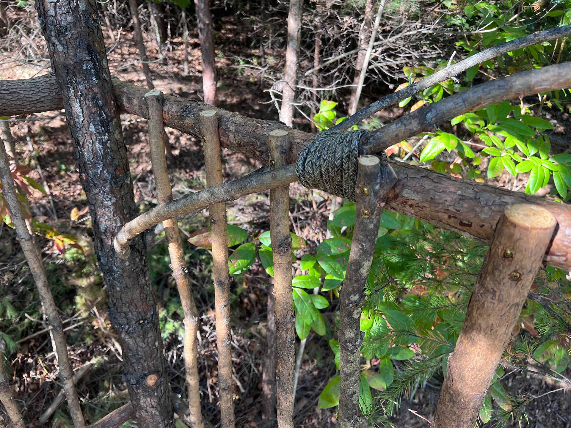 How To Build A Small Tree House For Kids On A 160 Budget Brandon Tran